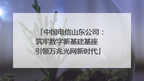 中国电信山东公司：筑牢数字新基建基座 引领万兆光网新时代