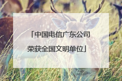 中国电信广东公司荣获全国文明单位