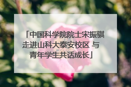 中国科学院院士宋振骐走进山科大泰安校区 与青年学生共话成长