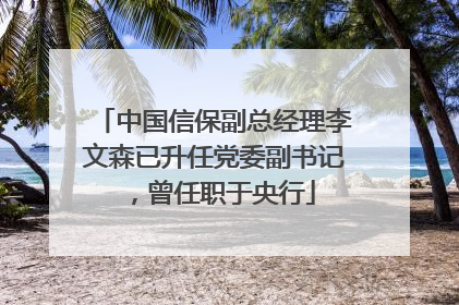 中国信保副总经理李文森已升任党委副书记，曾任职于央行