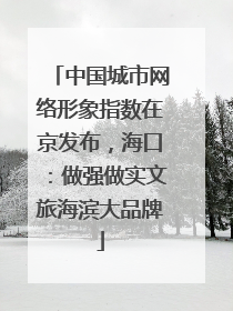 中国城市网络形象指数在京发布，海口：做强做实文旅海滨大品牌