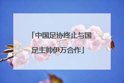 中国足协终止与国足主帅伊万合作