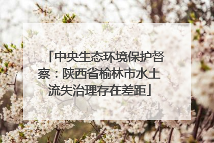 中央生态环境保护督察：陕西省榆林市水土流失治理存在差距