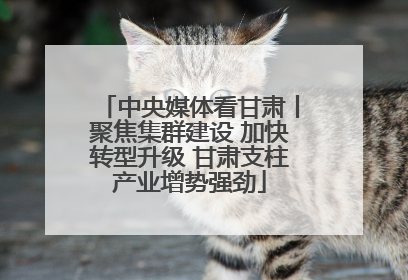 中央媒体看甘肃丨聚焦集群建设 加快转型升级 甘肃支柱产业增势强劲