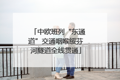 中欧班列“东通道”交通咽喉绥芬河隧道全线贯通