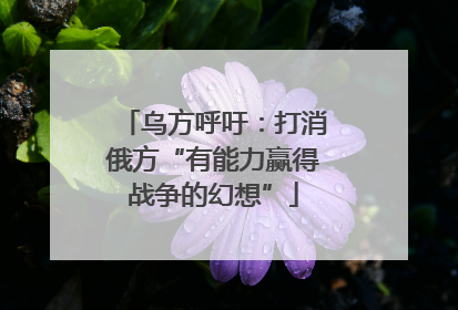乌方呼吁：打消俄方“有能力赢得战争的幻想”
