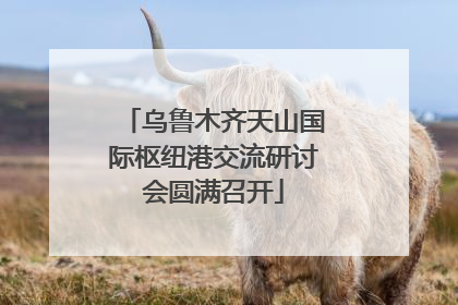 乌鲁木齐天山国际枢纽港交流研讨会圆满召开