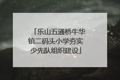 乐山五通桥牛华镇二码头小学夯实少先队组织建设