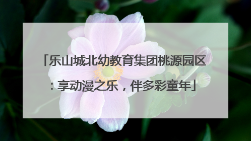乐山城北幼教育集团桃源园区：享动漫之乐，伴多彩童年