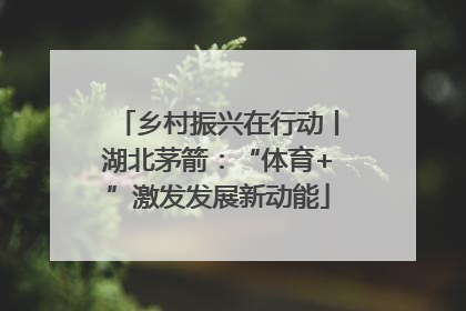 乡村振兴在行动丨湖北茅箭：“体育+”激发发展新动能