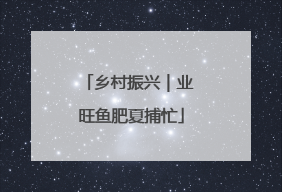 乡村振兴｜业旺鱼肥夏捕忙