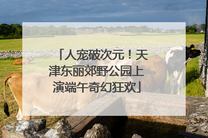 人宠破次元！天津东丽郊野公园上演端午奇幻狂欢