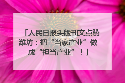 人民日报头版刊文点赞潍坊：把“当家产业”做成“担当产业”！