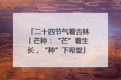 二十四节气看吉林丨芒种：“芒”着生长，“种”下希望