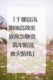 于都县汛期前高效发放应急物资 筑牢防汛救灾防线