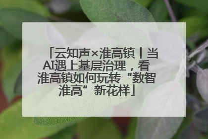 云知声×淮高镇丨当AI遇上基层治理，看淮高镇如何玩转“数智淮高”新花样