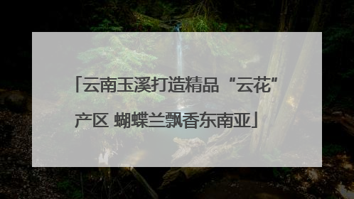云南玉溪打造精品“云花”产区 蝴蝶兰飘香东南亚