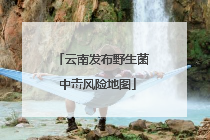 云南发布野生菌中毒风险地图