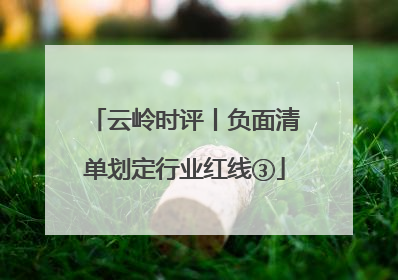 云岭时评丨负面清单划定行业红线③