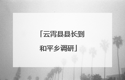 云霄县县长到和平乡调研