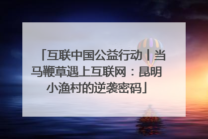 互联中国公益行动丨当马鞭草遇上互联网：昆明小渔村的逆袭密码