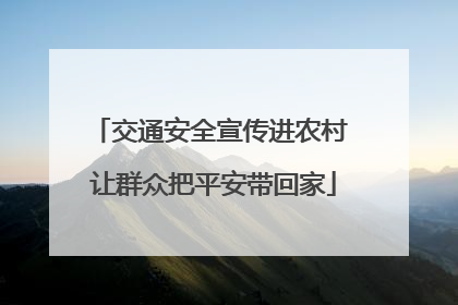 交通安全宣传进农村 让群众把平安带回家