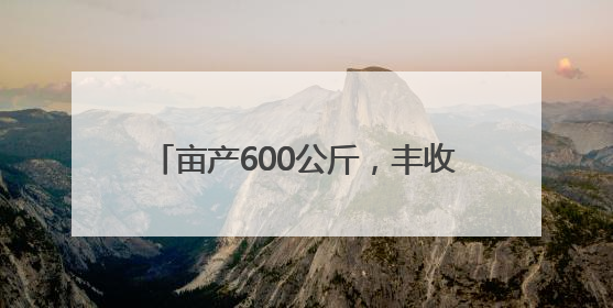 亩产600公斤，丰收态势良好！卫辉：机收比武田现场测产出结果