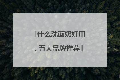 什么洗面奶好用，五大品牌推荐