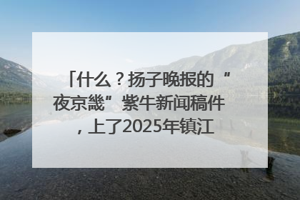 什么？扬子晚报的“夜京畿”紫牛新闻稿件，上了2025年镇江中考模拟卷！