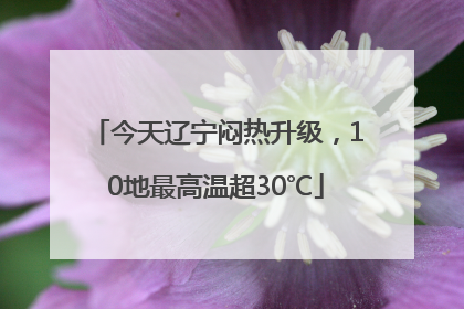 今天辽宁闷热升级，10地最高温超30℃
