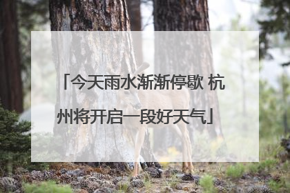 今天雨水渐渐停歇 杭州将开启一段好天气