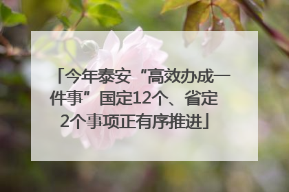 今年泰安“高效办成一件事”国定12个、省定2个事项正有序推进