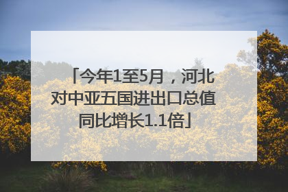 今年1至5月，河北对中亚五国进出口总值同比增长1.1倍