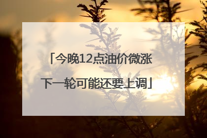 今晚12点油价微涨 下一轮可能还要上调