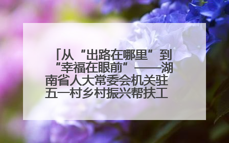 从“出路在哪里”到“幸福在眼前”——湖南省人大常委会机关驻五一村乡村振兴帮扶工作队书写振兴答卷