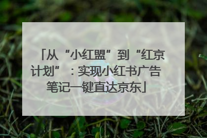 从“小红盟”到“红京计划”：实现小红书广告笔记一键直达京东