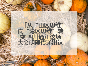 从“山区思维”向“湾区思维”转变 四川通江这场大会明确传递出这些信号