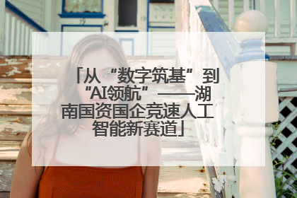 从“数字筑基”到“AI领航”——湖南国资国企竞速人工智能新赛道