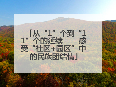 从“1”个到“11”个的延续——感受“社区+园区”中的民族团结情