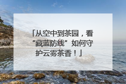 从空中到茶园，看“藏蓝防线”如何守护云雾茶香！