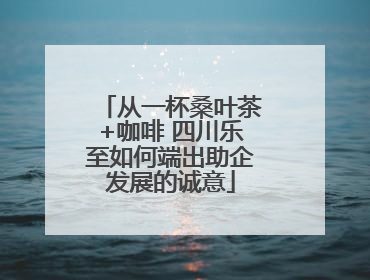 从一杯桑叶茶+咖啡 四川乐至如何端出助企发展的诚意