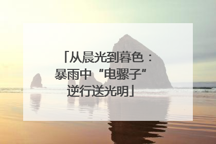 从晨光到暮色：暴雨中“电骡子”逆行送光明