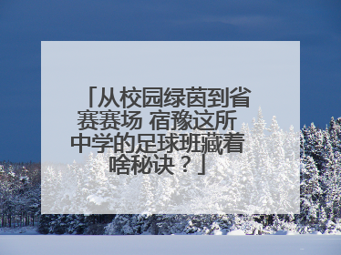从校园绿茵到省赛赛场 宿豫这所中学的足球班藏着啥秘诀？