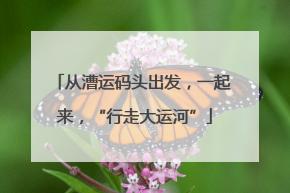 从漕运码头出发，一起来，“行走大运河”