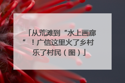 从荒滩到“水上画廊”！广信这里火了乡村 乐了村民（图）