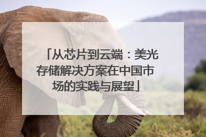 从芯片到云端：美光存储解决方案在中国市场的实践与展望