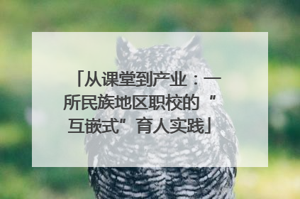 从课堂到产业：一所民族地区职校的“互嵌式”育人实践