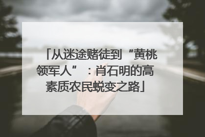 从迷途赌徒到“黄桃领军人”：肖石明的高素质农民蜕变之路