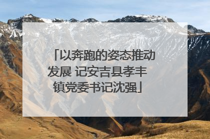 以奔跑的姿态推动发展 记安吉县孝丰镇党委书记沈强