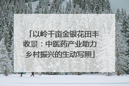 以岭千亩金银花田丰收景：中医药产业助力乡村振兴的生动写照